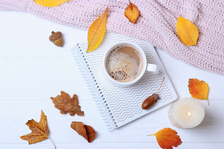 autumn composition and autumn leavesの写真素材