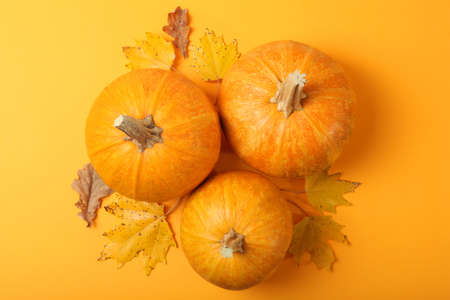 pumpkins close-up. Thanksgiving background. Autumn background.
