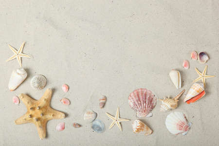 sand, shells and starfish top view with place for text.の写真素材