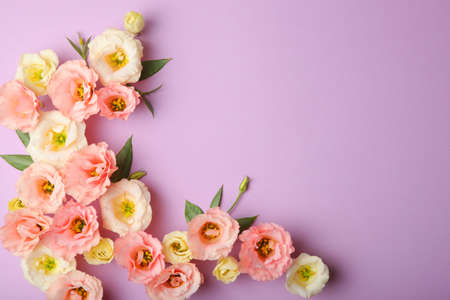 beautiful flower arrangement on a colored background with place for text.の写真素材