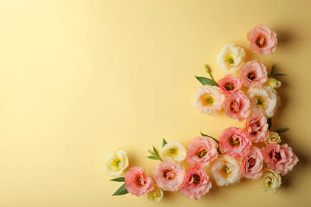 beautiful flower arrangement on a colored background with place for text.の写真素材
