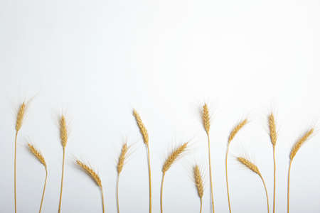 Spikelets of wheat and grains on a light background