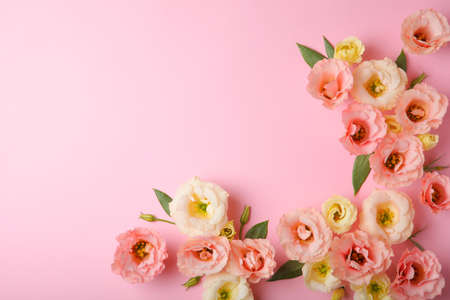 beautiful flower arrangement on a colored background with place for text.の写真素材