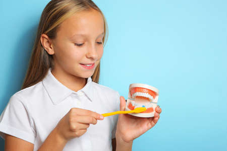 A girl in a good mood brushes her teeth and holds a model of teethの写真素材