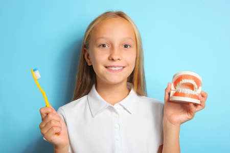 A girl in a good mood brushes her teeth and holds a model of teethの写真素材