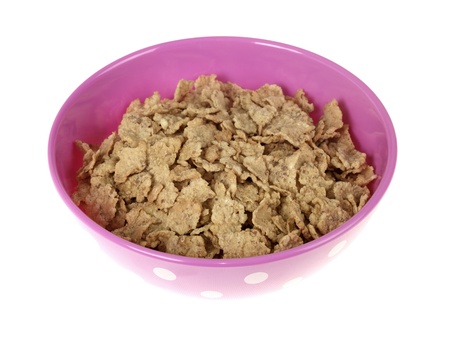 Bowl of Breakfast Cereal