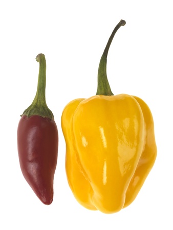 Raw Chilliesの写真素材