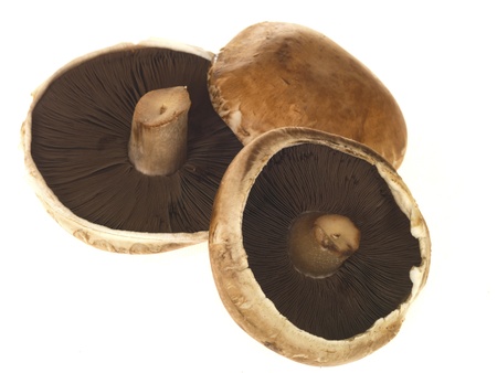 Portobella Mushroomsの写真素材