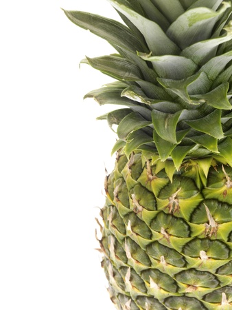 Fresh Tropical Pineappleの写真素材