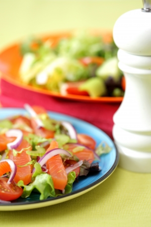 Smoked Salmon Saladの写真素材