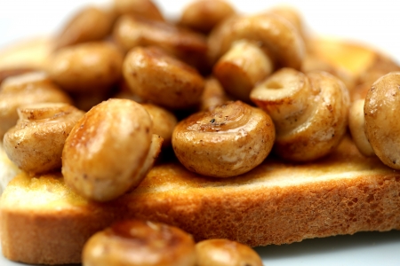 Mushrooms on Toastの写真素材