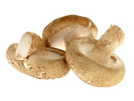 Shitake Mushroomsの写真素材