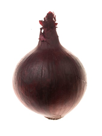 Single Red Onionの写真素材
