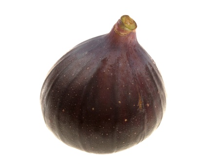 Single Fresh Figの写真素材