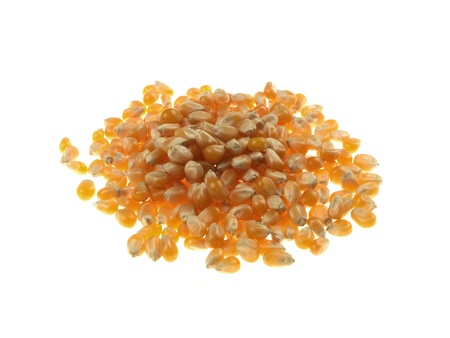 Popcorn Maizeの写真素材