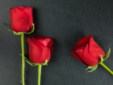 Valentines Day Traditional Romantic Red Roses On A Black Backgroundの写真素材