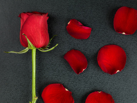 Valentines Day Traditional Romantic Red Roses On A Black Backgroundの写真素材