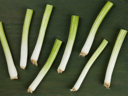 Fresh Uncooked Healthy Spring Onion Vegetablesの写真素材
