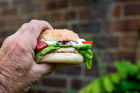 Holding a Chicken Burger or Sandwich With Salad Outside in A Gardenの写真素材