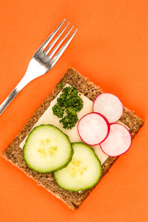 Cheese and Cucumber Open Face Rye Bread Sandwich With Radishes Against An Orange Backgroundの写真素材