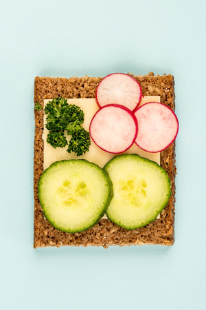 Cheese and Cucumber Open Face Rye Bread Sandwich With Radishes Against a Light Blue Backgroundの写真素材