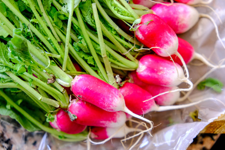 Bunch of Fresh Ripe Salad Raddishes