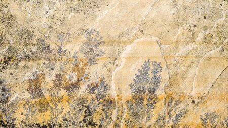 Natural Graphic Background Concept Patterns in Stones or Rock Slabs