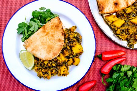 Traditional Authentic Indian Vegetarian Curry With Coriander and Flat Breadの写真素材