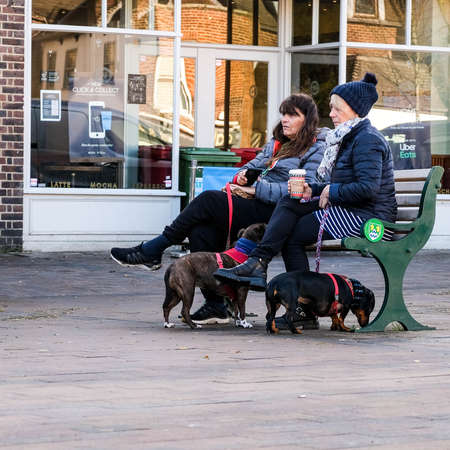London UK, November 15 2020, Two Middle Aged Women Sitting On A Wooden Bench With Their Dogs...