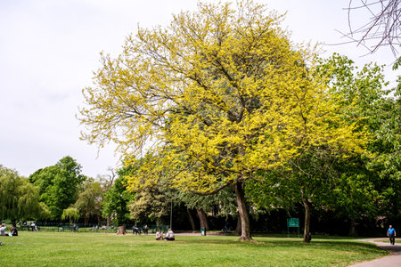 Epsom Surrey, London, May 09 2022, Groups Of Young People Sitting On The Grass In A Park Relaxing And Talkingのeditorial素材