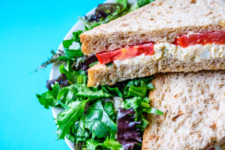 Freshly Made Egg and Tomato Sandwich With Salad Cream And Green Salad Leavesの写真素材