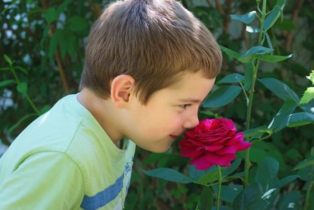 A portrait of a boy smiling and smelling a rose.の写真素材