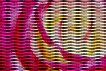 Vector illustration of a yellow and red rose made of dots, in sunlight.のイラスト素材