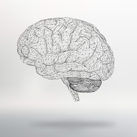 Vector illustration human brain.のイラスト素材