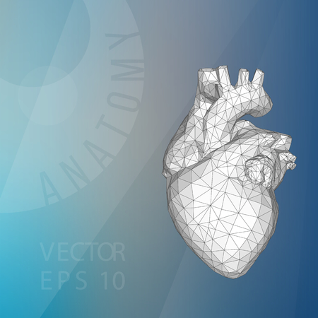 Abstract Creative concept vector background of the human heart. Polygonal design style letterhead and brochure for business.のイラスト素材