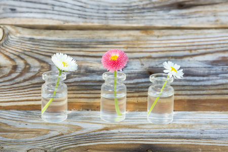 Flowers in a glass jar. Daisies in a glass jar. The background of the old pine planks with a pronounced texture of the woodの写真素材