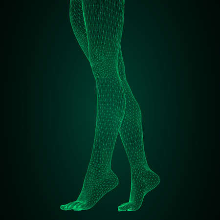 Vector illustration of a human body. Female legs in the form of a three-dimensional triangular meshのイラスト素材