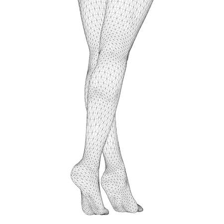 Vector illustration of a human body. Female legs in the form of a three-dimensional triangular mesh.のイラスト素材