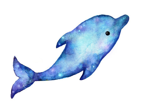 dolphin watercolor drawing character on white background for print.の写真素材