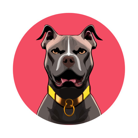 Angry pitbull, Vector illustration on a white background.のイラスト素材