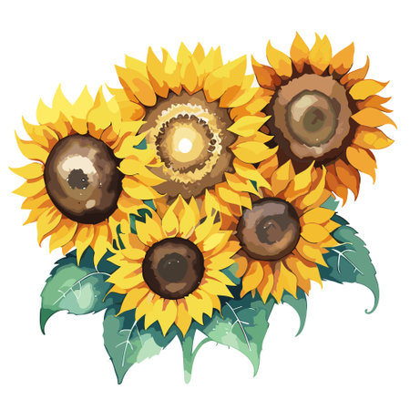 Sunflower bouquet. Vector illustration isolated on white background.のイラスト素材