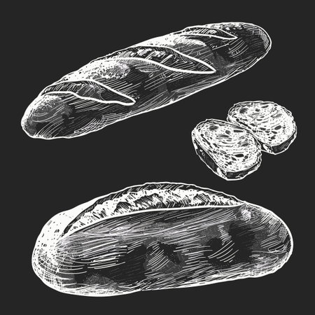 Hand Drawn bread illustration on a blackboard beautiful vector illustration sketchy style chalkboard background.のイラスト素材