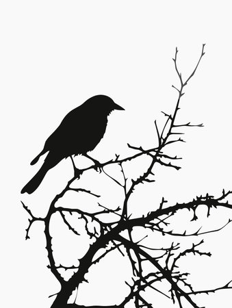 Silhouette of a crow sitting on a branch. Vector illustrationのイラスト素材