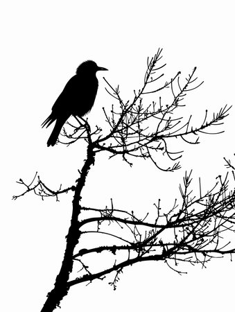 Silhouette of a crow sitting on a tree branch on a white backgroundのイラスト素材