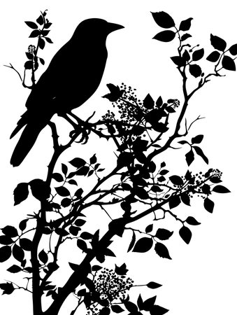 Black bird is perched on a branch. The bird is the only visible part of the imageのイラスト素材