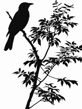 Black crow is perched on a tree branch. The image has a dark and mysterious mood, with the bird's silhouette against the tree and the white backgroundのイラスト素材