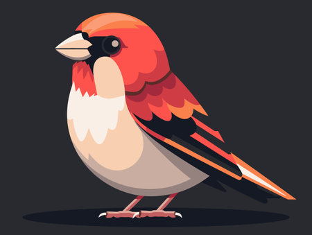 Red bullfinch isolated on black background. Vector illustration in flat style.のイラスト素材
