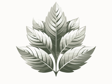 leafs plant ecology isolated icon vector illustration desing vector illustration designのイラスト素材
