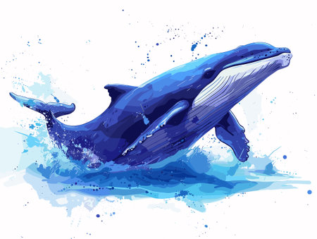 Whale in the water. Vector illustration of a blue whale.のイラスト素材