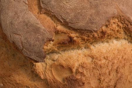 Close up of a freshly cracked bread surface